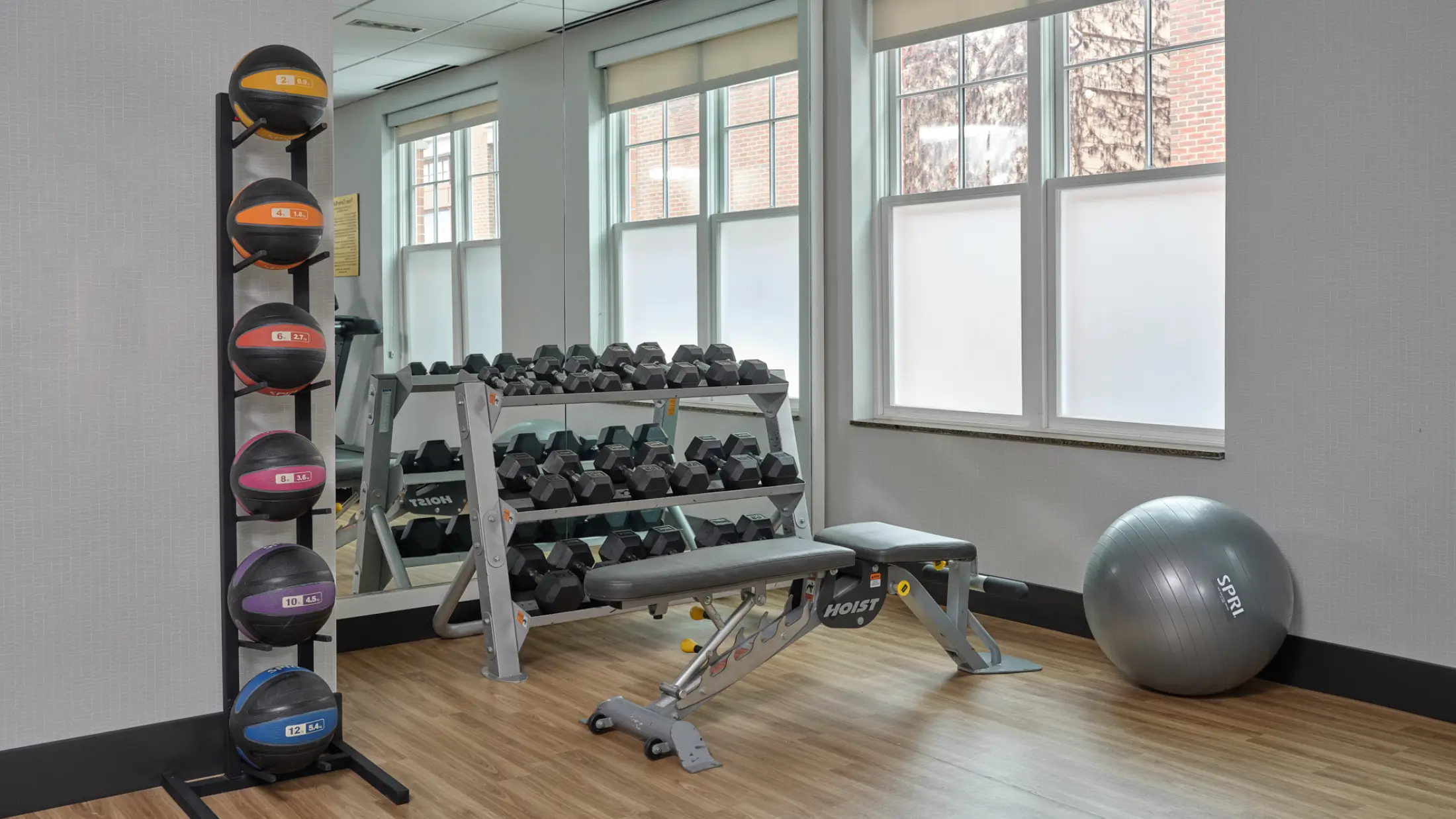 Array of free weights and medicine balls in the fitness room at Six South St Hotel in Hanover, NH.