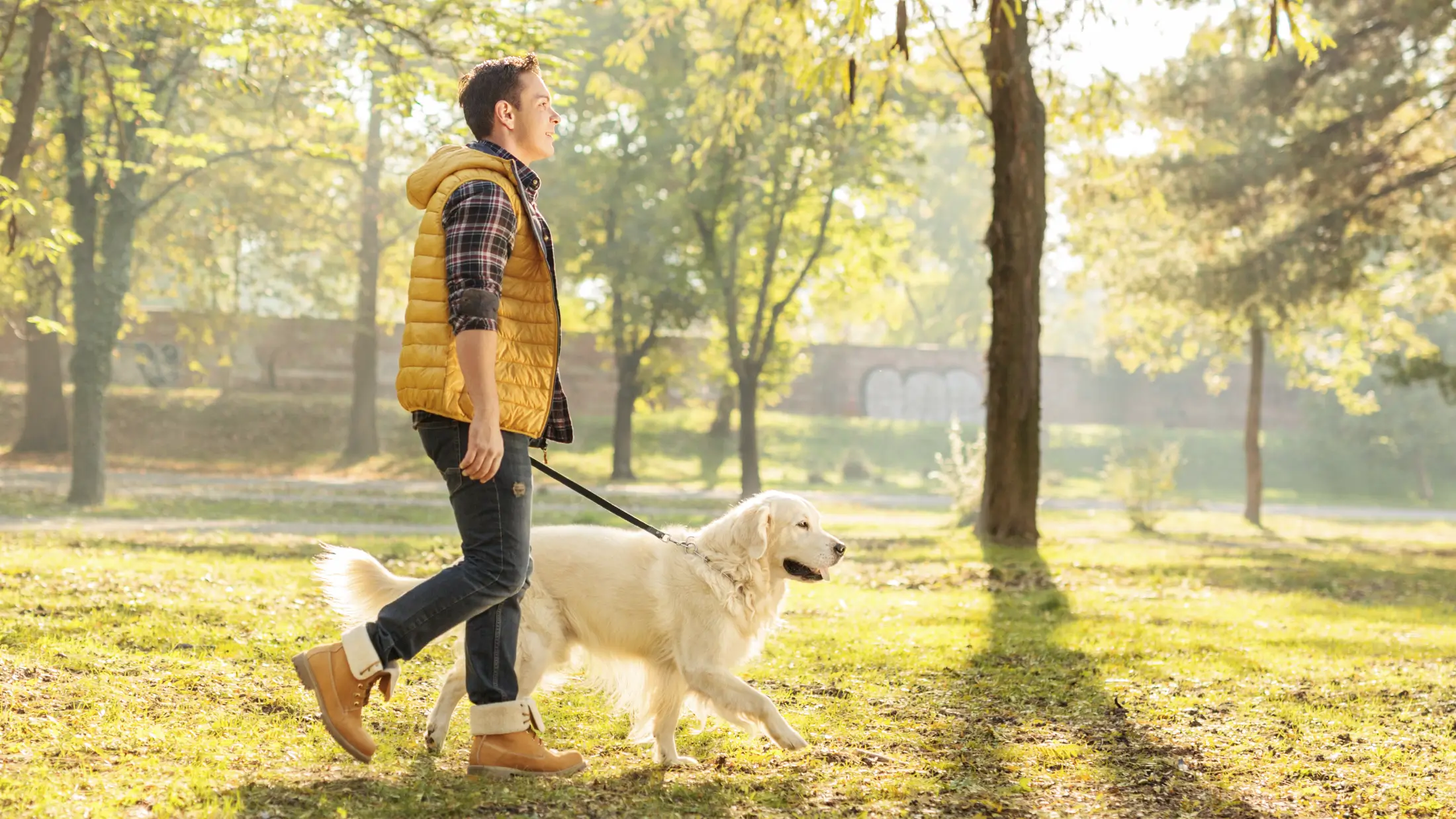 Young, male hiker walking his golden retriever on a sunny day in Hanover, NH.